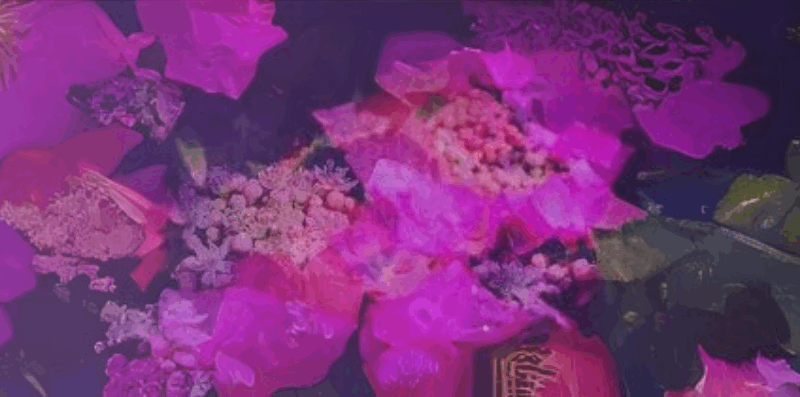 FRESHLY SQUEEZED: OCTOBER